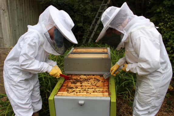 School pupils bee keeping