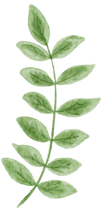 Leaves 3 illustration