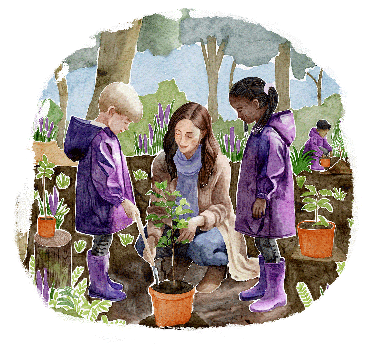 Forest School illustration 2