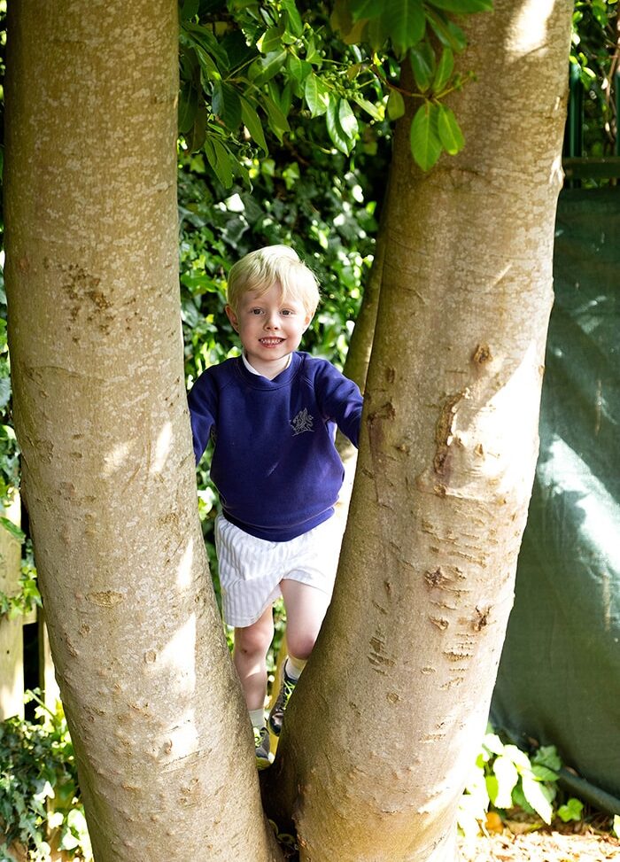 Nursery Child in a tree